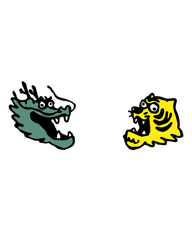 Face-to-Face Dragon vs Tiger Illustration (Relaxed Style) - Image 4
